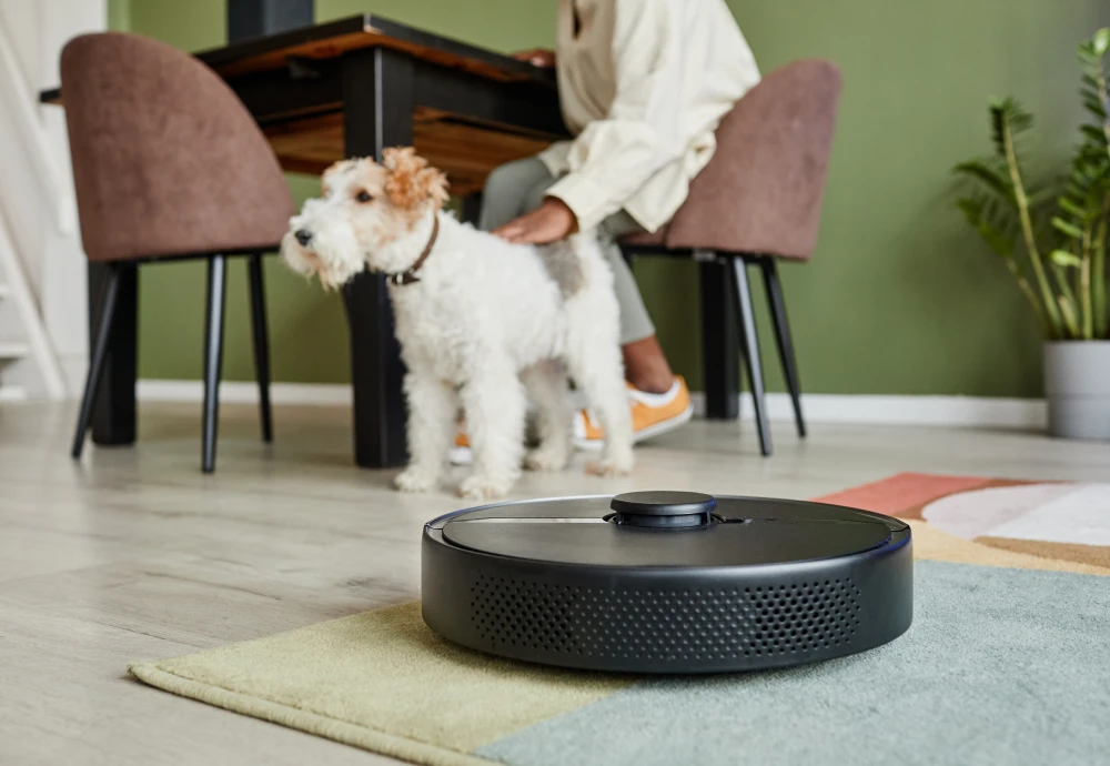 robot vacuum cleaner and mop